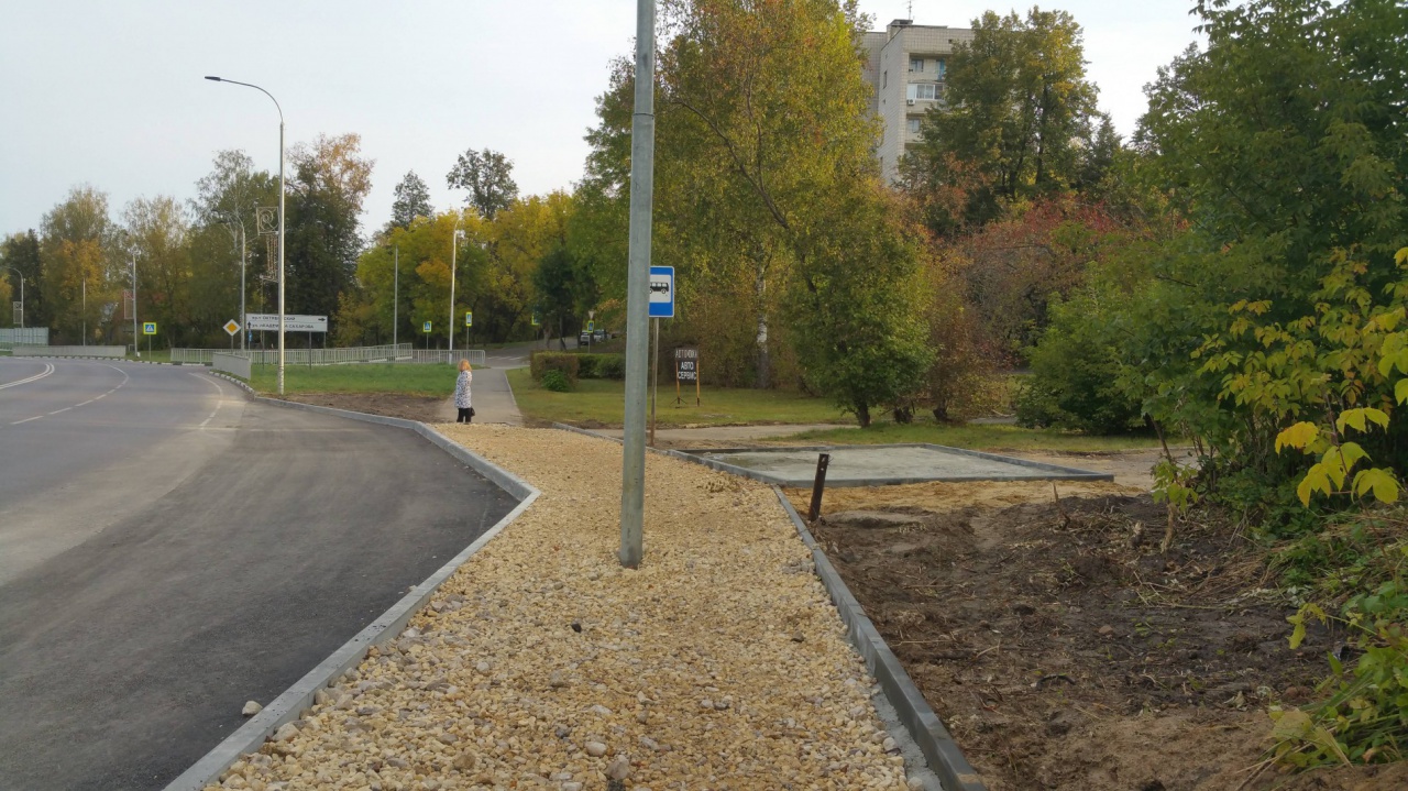 1_Лужа - 2 - остановка.jpg